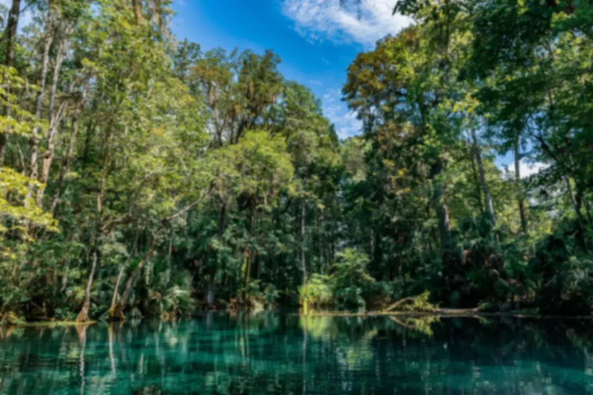 Clear turquoise river bordered by dense Florida woodland