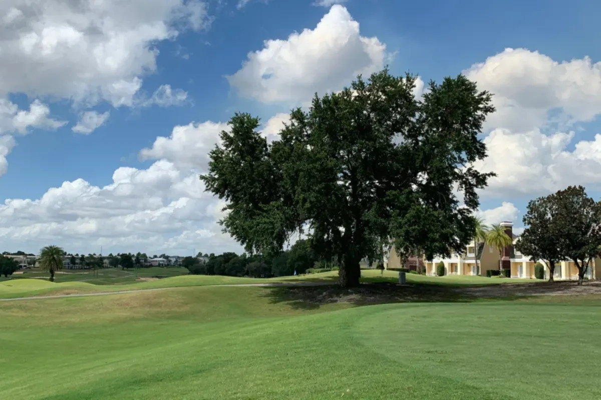 Large oak tree on a golf course with homes in the distance under a cloudy blue sky